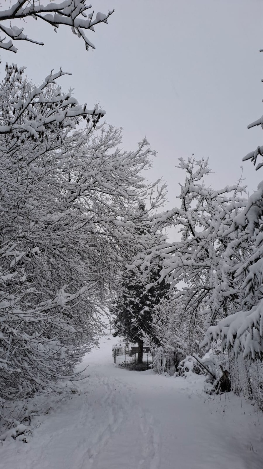 sneh na strednom Slovensku