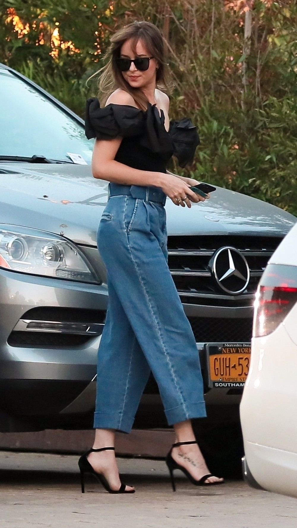 Dakota Johnson.jpeg