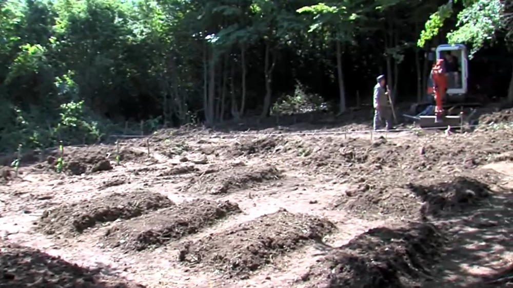 Práca na cintoríne