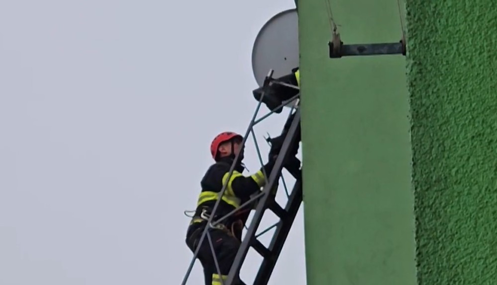 v byte našli mŕtvu ženu (2)