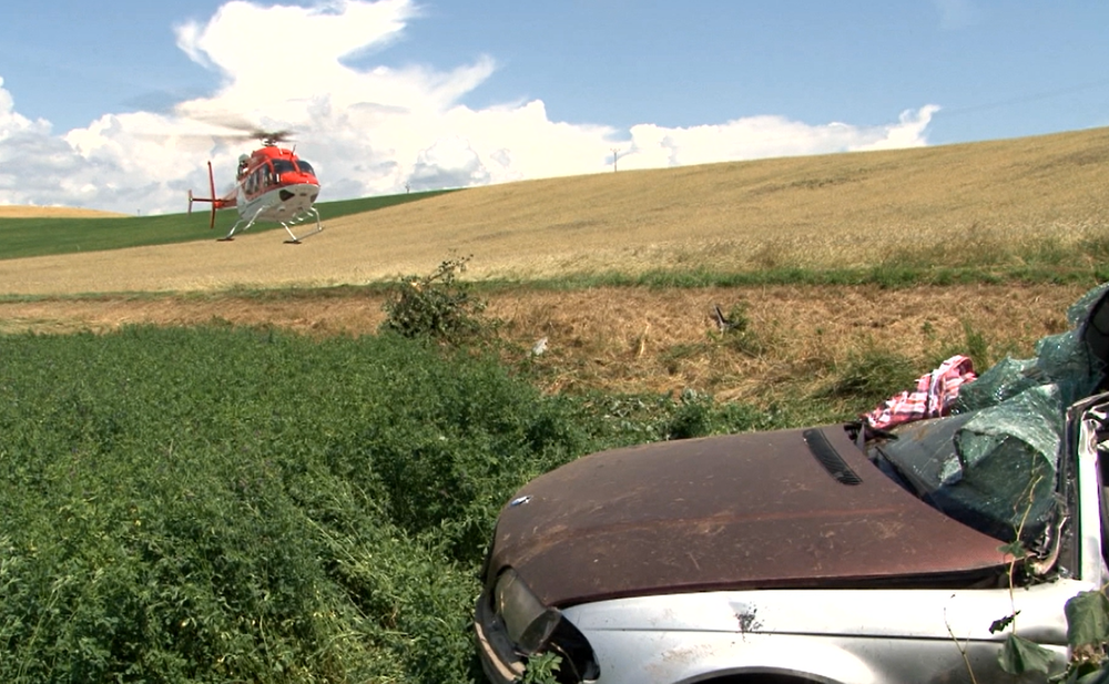 Pri silnom náraze vyvrátilo strom aj s koreňmi