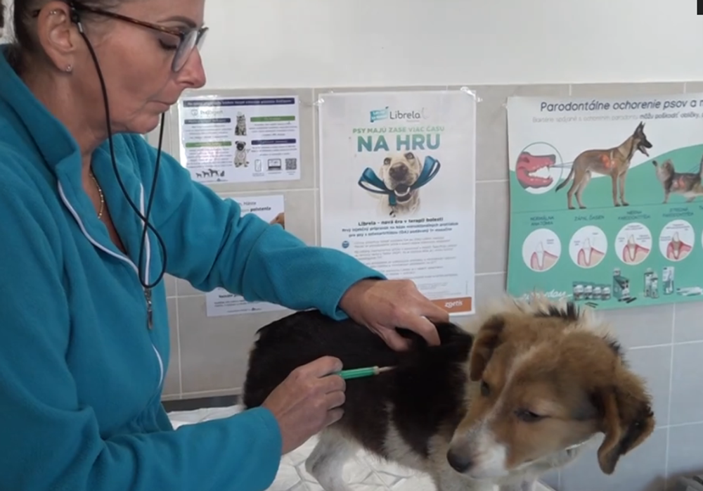 Snímka obrazovky 2024-10-03 173824