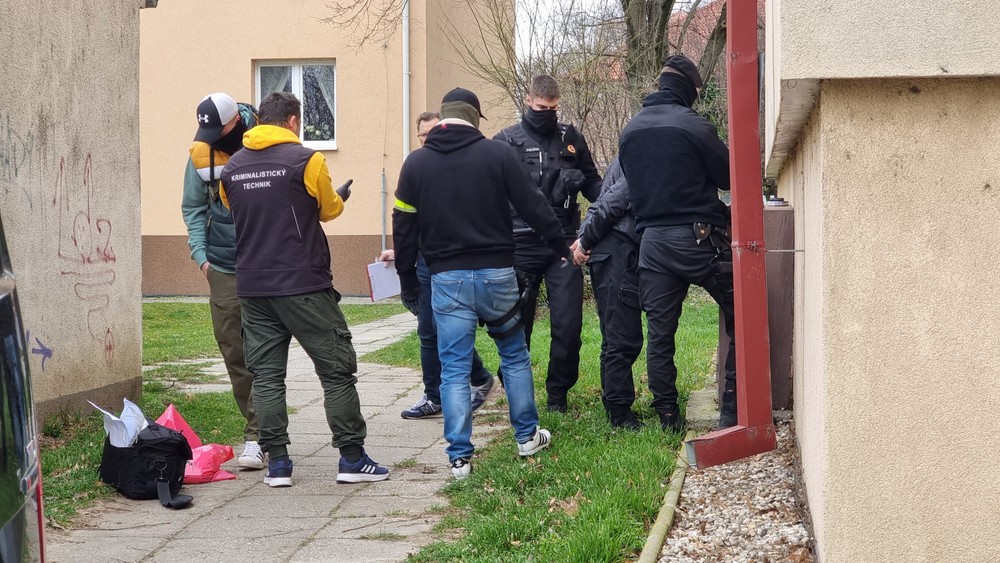 Policajná akcia
