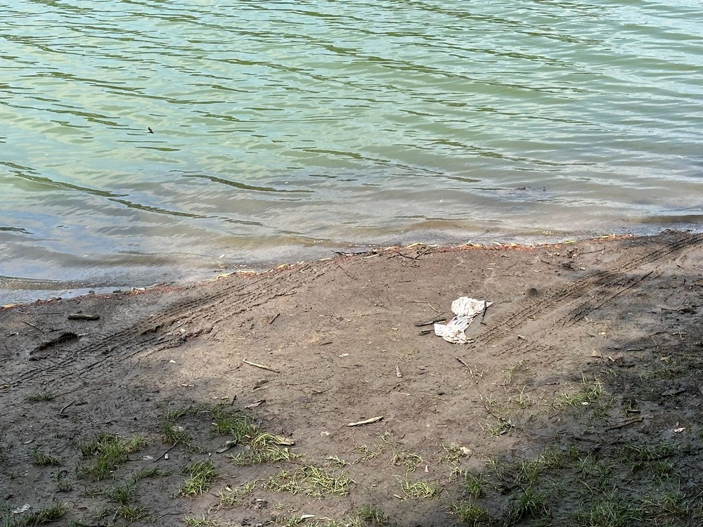 WhatsApp Image 2024-07-12 at 14.50.04 (1)