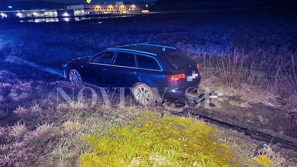 335312142_585347923561221_6163502469098773246_n