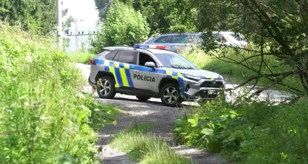 policia pad