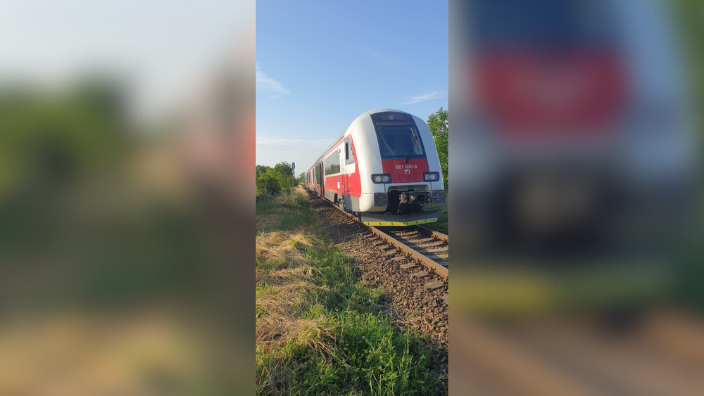 nehoda vlak autobus (3)