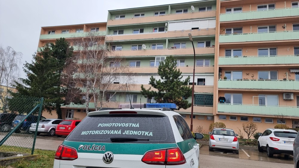 Policajná akcia