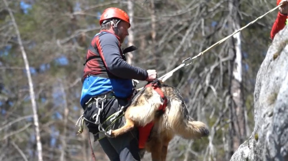 Záchranári, psy a technika v teréne