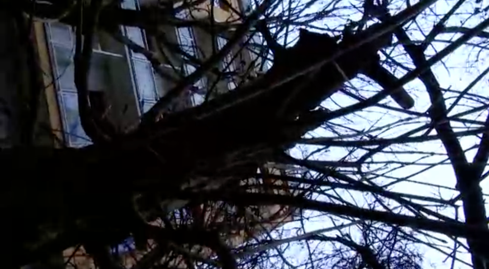 Muž chcel spáchať samovraždu. Po záchrane zaútočil na policajtov