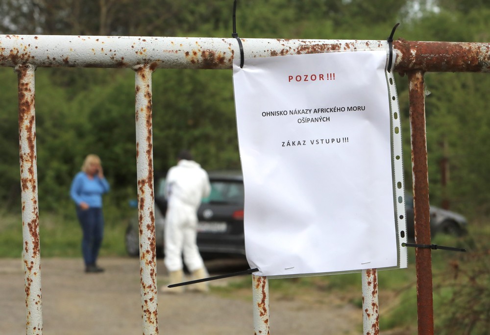 Mor ošípaných v Lovči
