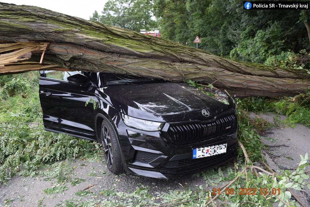 Na auto spadol počas jazdy strom