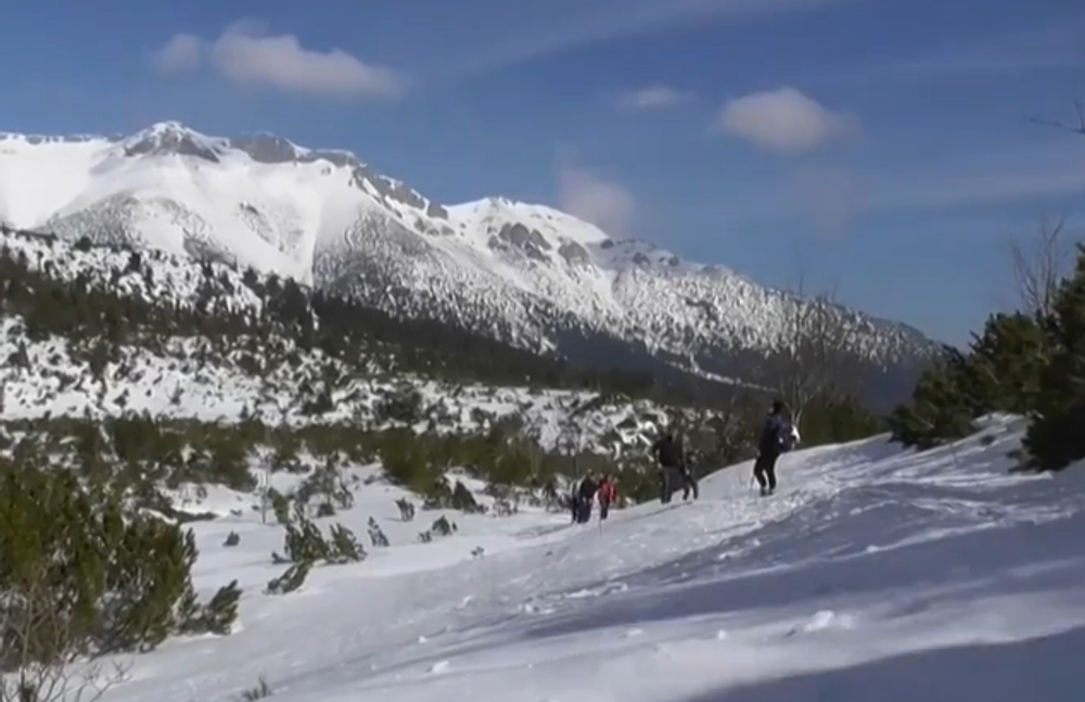 Snímka obrazovky 2024-04-12 104400