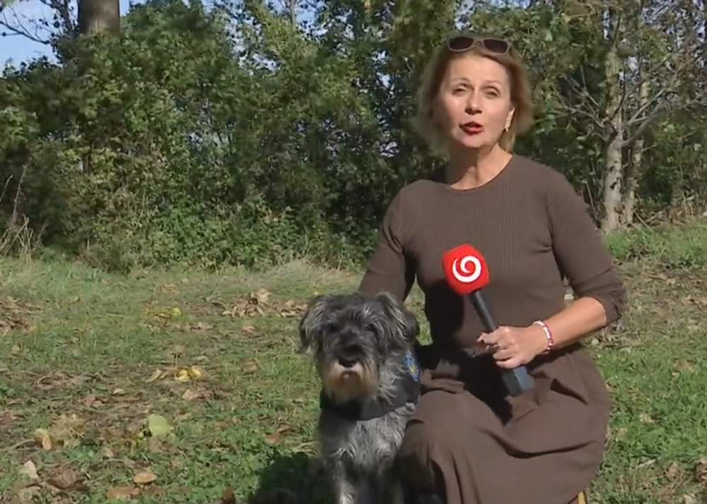 Pytliaci otrávili vzácneho orliaka morského 