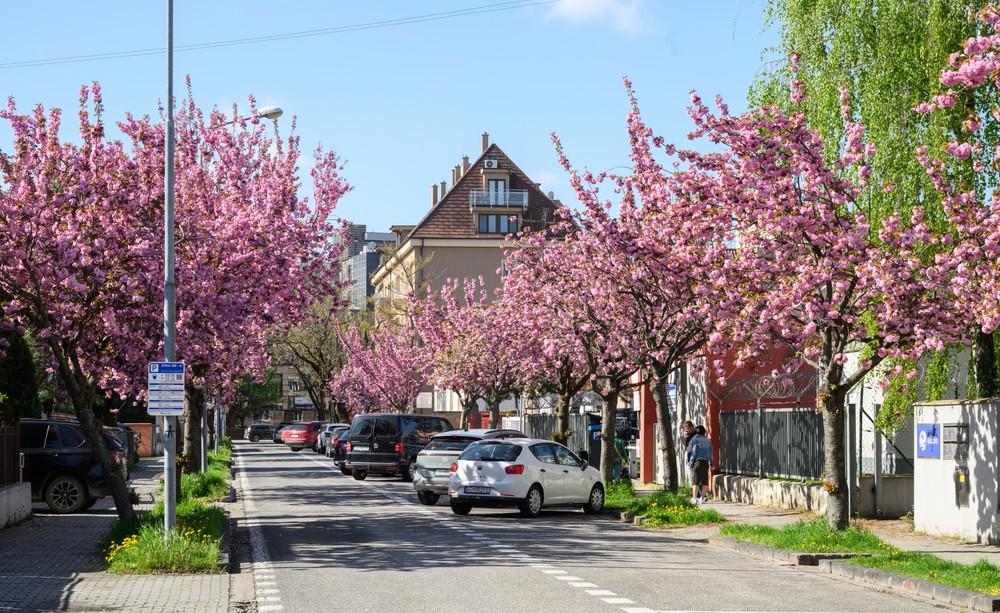 skrntr170425nr4123570