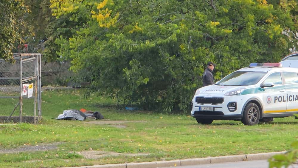 Telo pod Mostom SNP 3