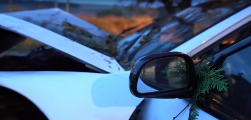 Po rýchlej jazde skončil v záhrade domu. Zastavili ho až stromy