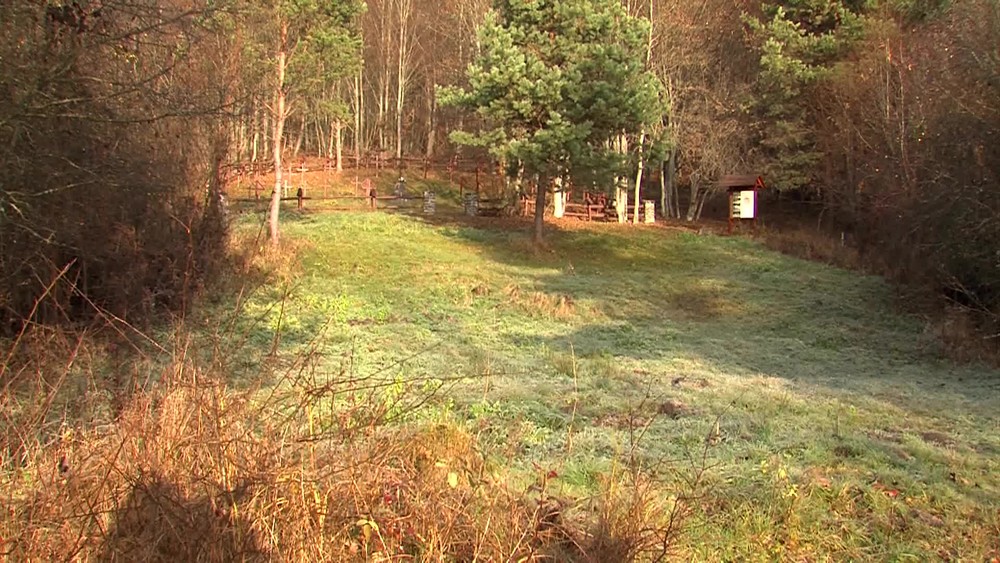 [multi] Cervene maky ludia 10397