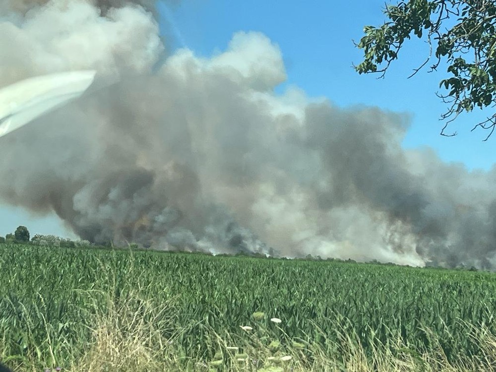 WhatsApp Image 2023-07-15 at 14.59.59