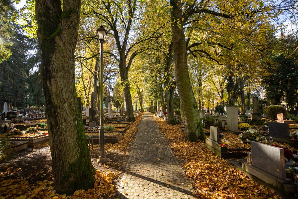 dušičky cintorín jeseň Národný cintorín Martin (3)