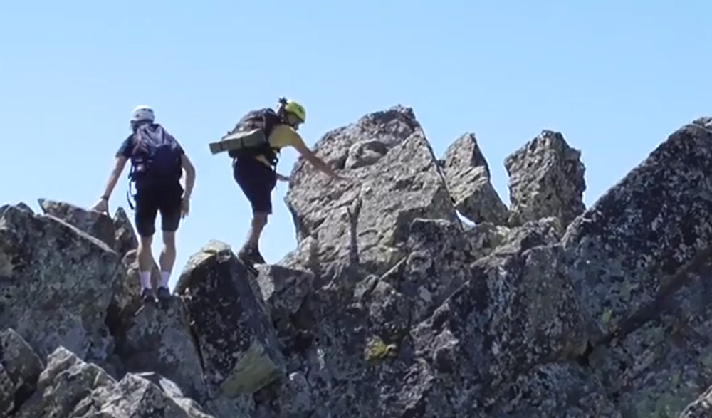 Screenshot 2024-08-11 090345