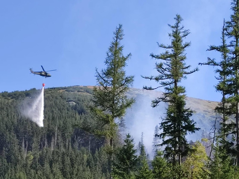 Na Horehroní sa rozhorel les