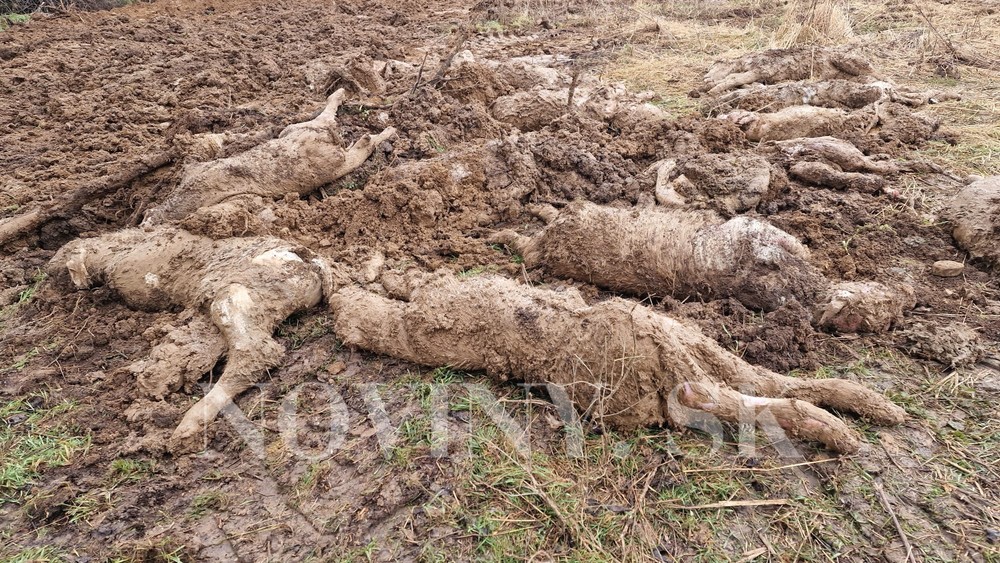 WhatsApp Image 2023-03-07 at 10.18.02