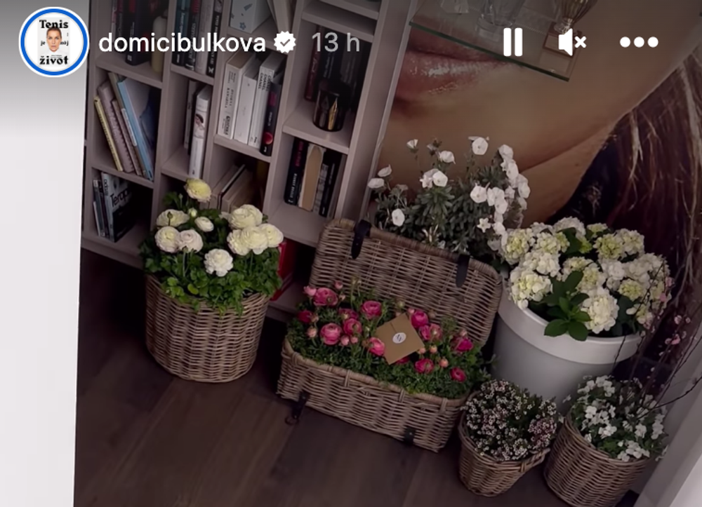 Takéto prekvapenie čakalo Dominiku po príchode z pôrodnice