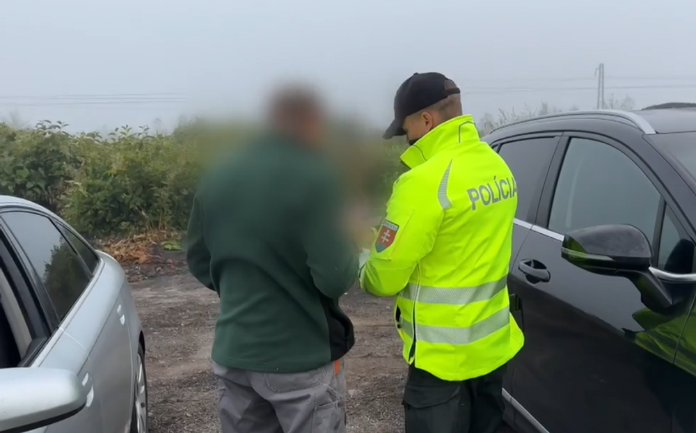 Polícia 7
