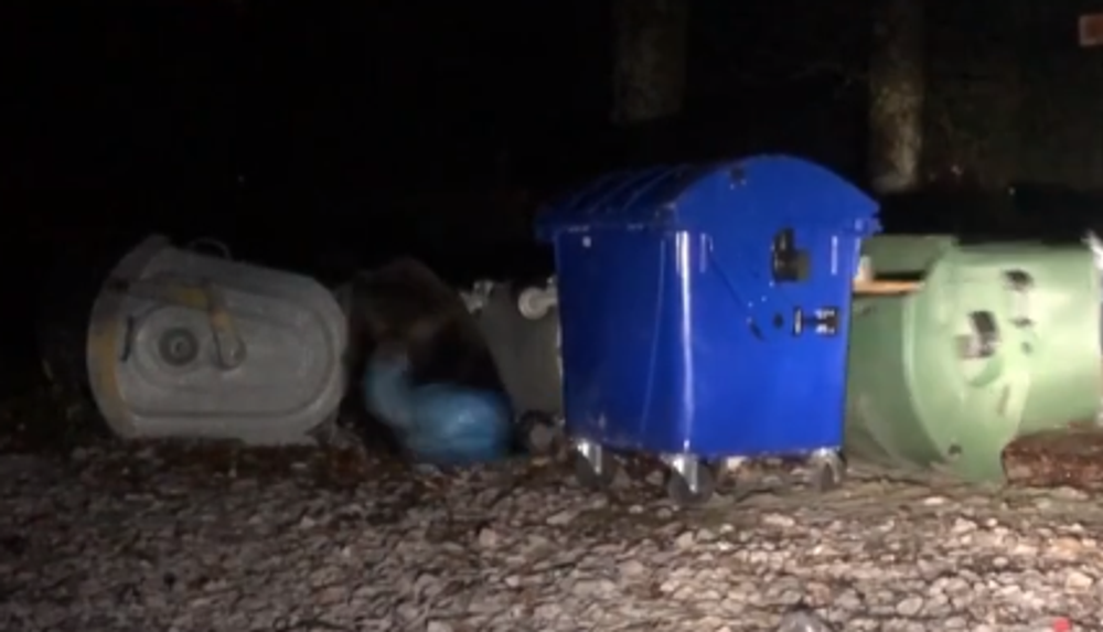 Riskantné zábery v Tatrách. Mladá žena stála len pár metrov od medvedice s mladými 