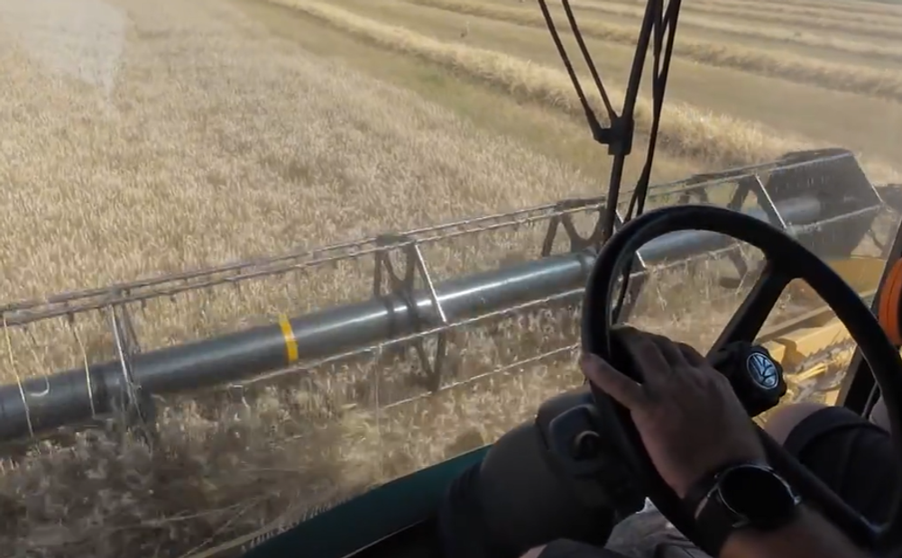 Zver ničí úrodu 3