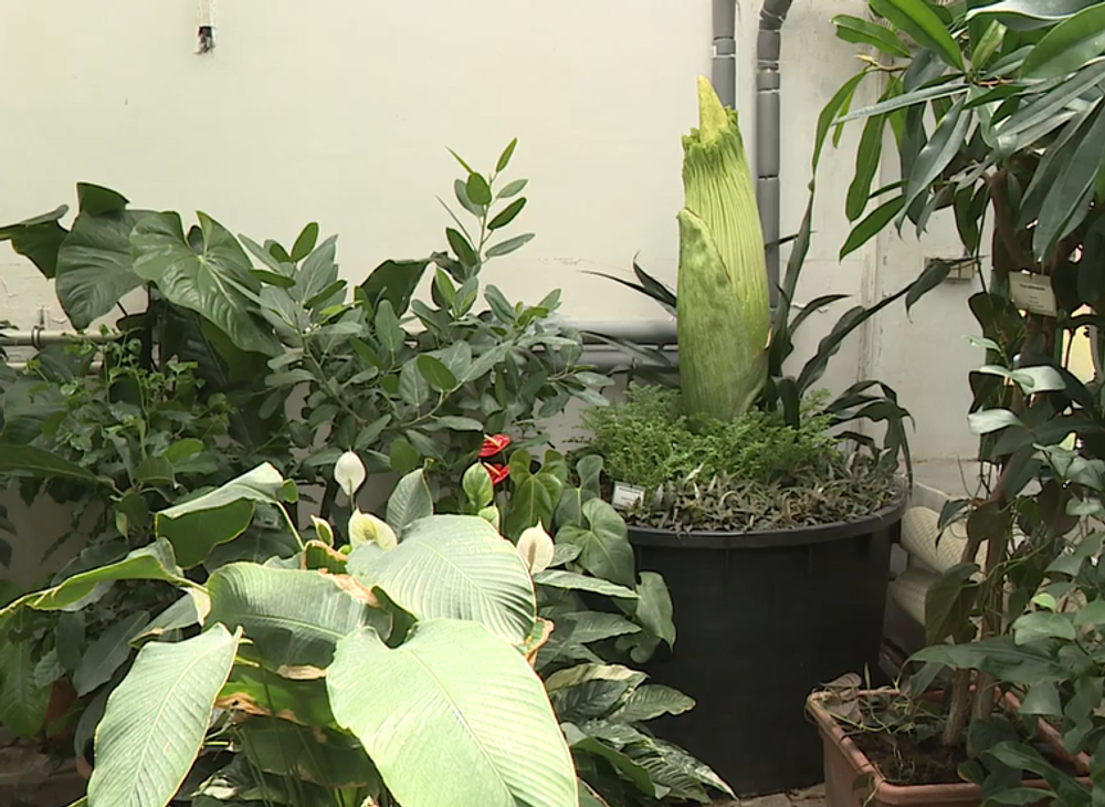 Screenshot 2024-07-27 083953