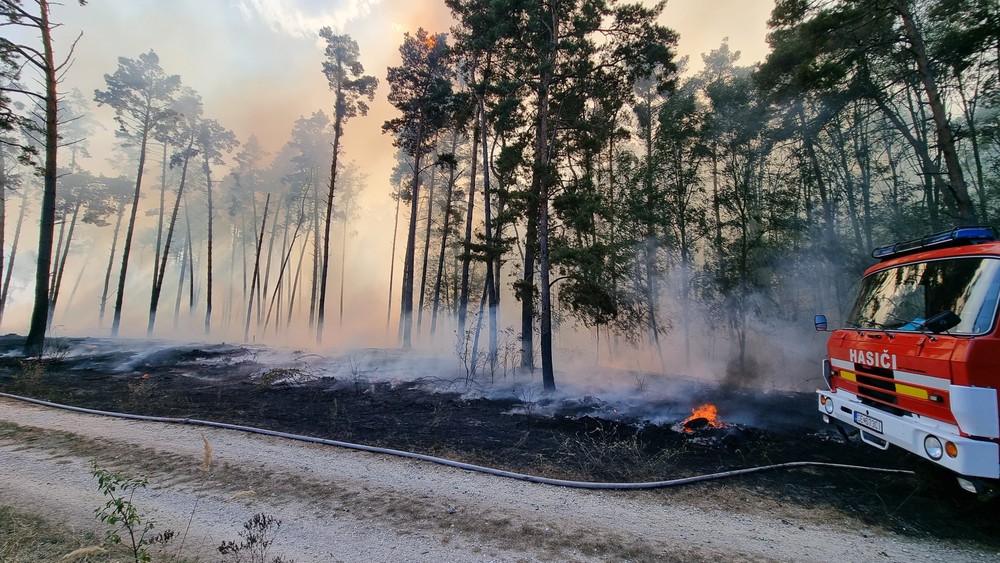 WhatsApp Image 2024-09-04 at 15.13.27