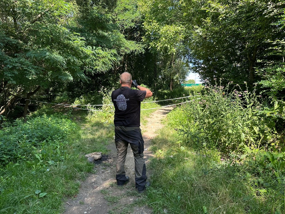 WhatsApp Image 2025-07-31 at 10.35.44 (1)