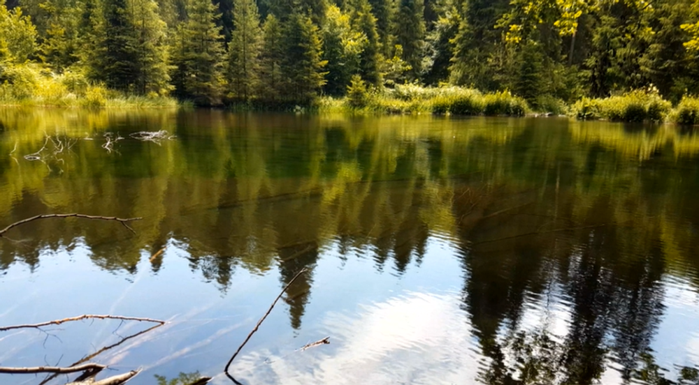 Kam s deťmi cez prázdniny? Zamierte na severovýchod Slovenska