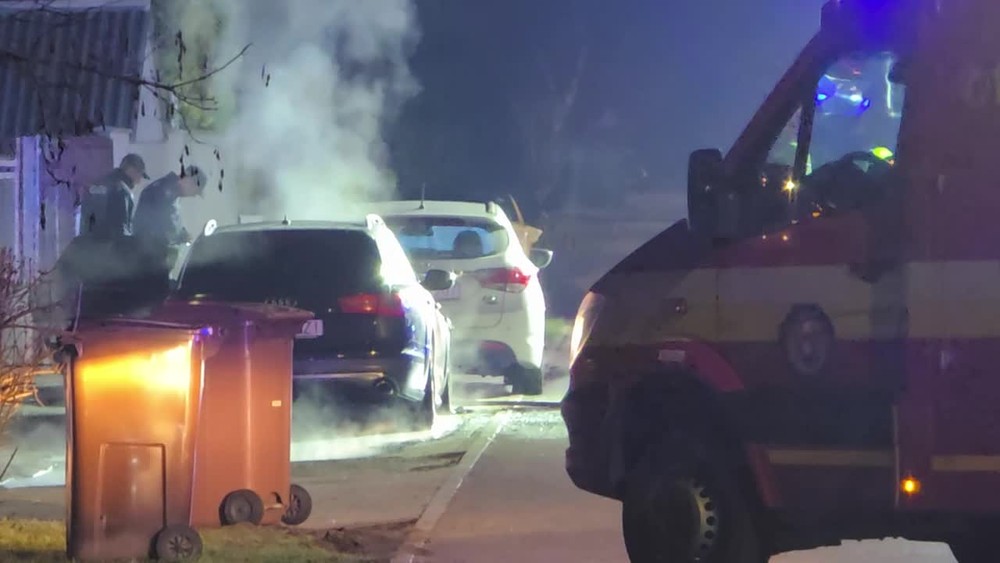 [multi] zhorene auto 2495