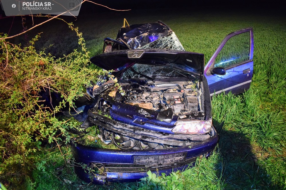 nehoda medzi obcami Nový Tekov a Malé Kozmálovce (2)