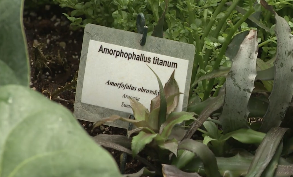 Screenshot 2024-07-27 083942