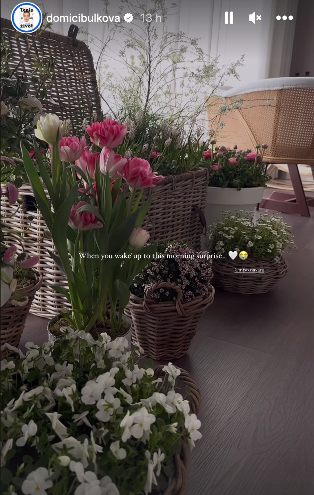 Takéto prekvapenie čakalo Dominiku po príchode z pôrodnice