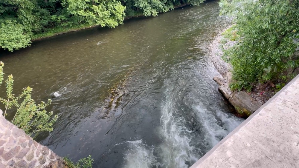 WhatsApp Image 2025-06-19 at 11.29.21