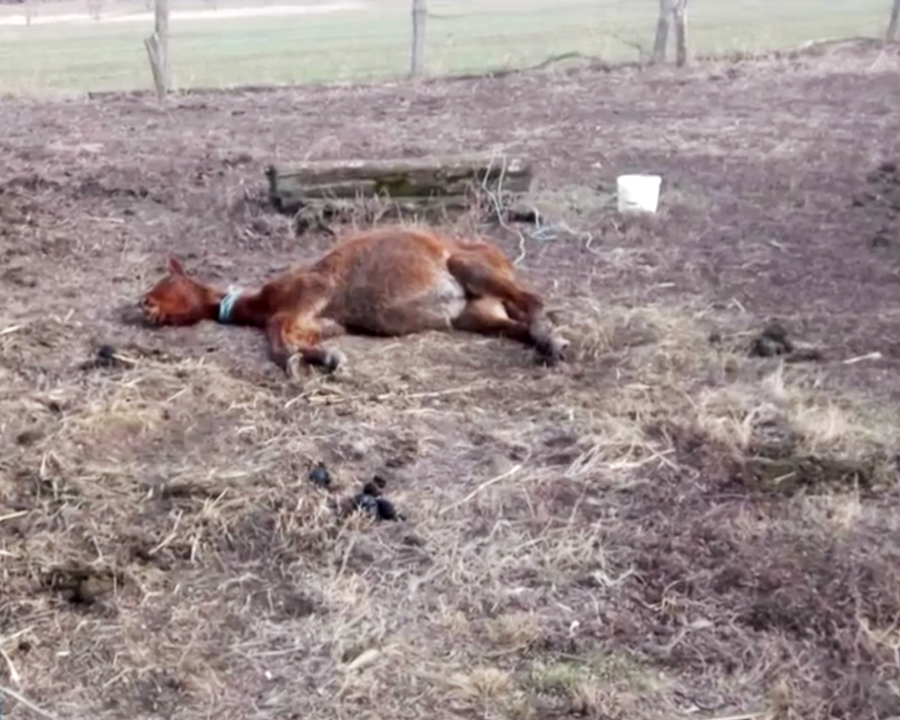 Snímka obrazovky 2019-02-27 o 20.02.32