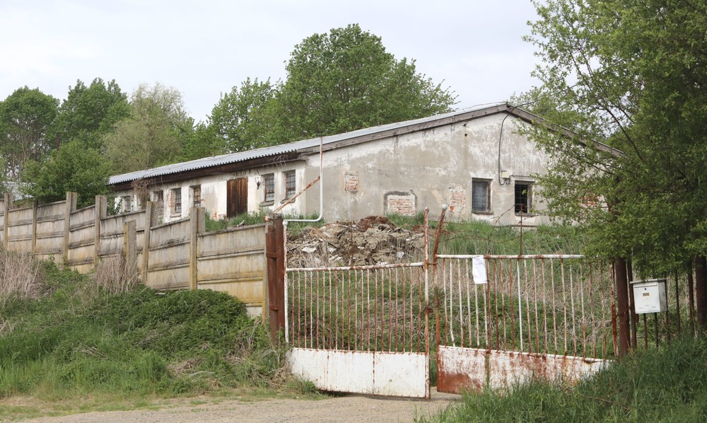 Mor ošípaných v Lovči