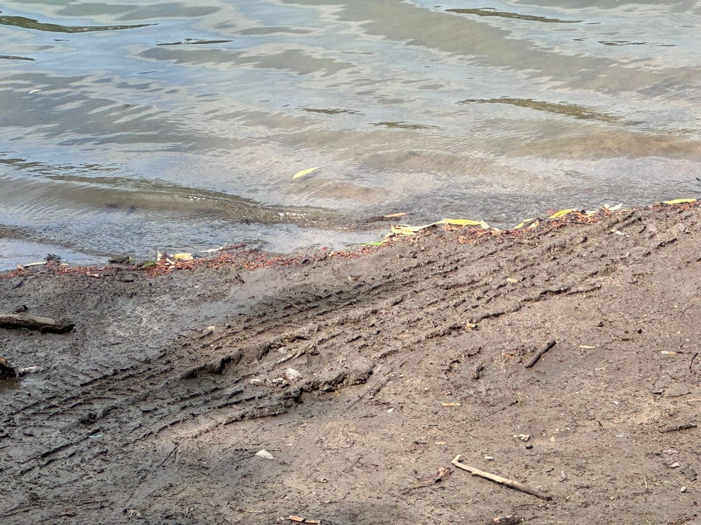 WhatsApp Image 2024-07-12 at 14.50.04