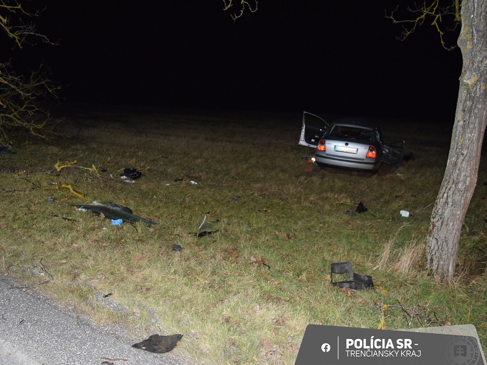 Vodič narazil do stromu