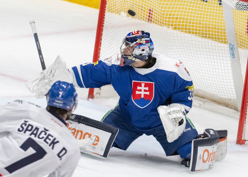 Slovensko vs Česko (5)