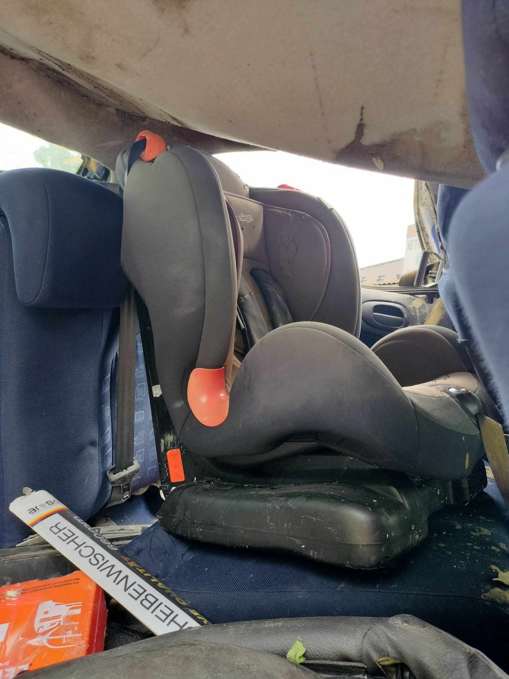 363874335_1237772066920723_3999019217266716956_n