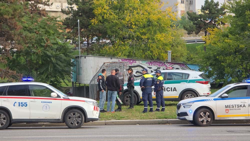 Telo pod Mostom SNP 2