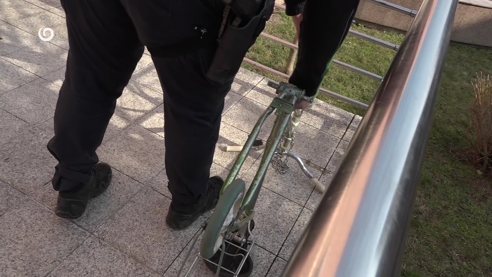 [multi] 030626XQR 765