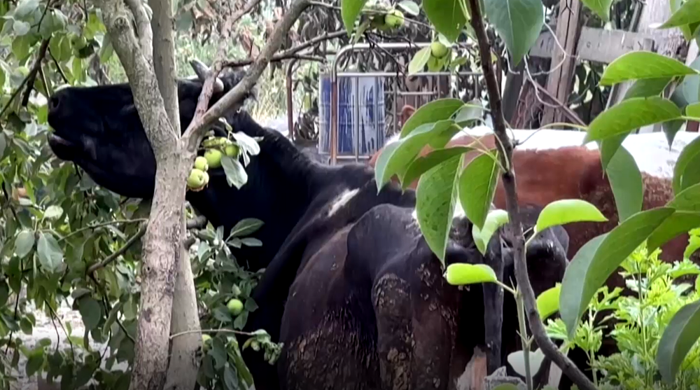 Rusi majú zbrane. Nám to chýba, ale dohnali sme ich až sem