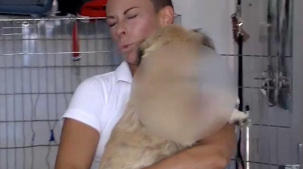 Utýrané šteniatko Mandy